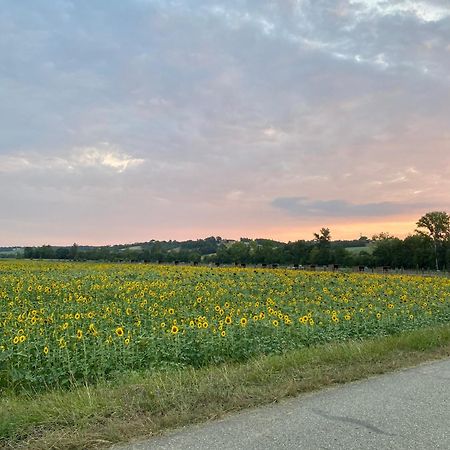 Dependance Privee A La Campagne Avec Spa Saint-Cirice Kültér fotó
