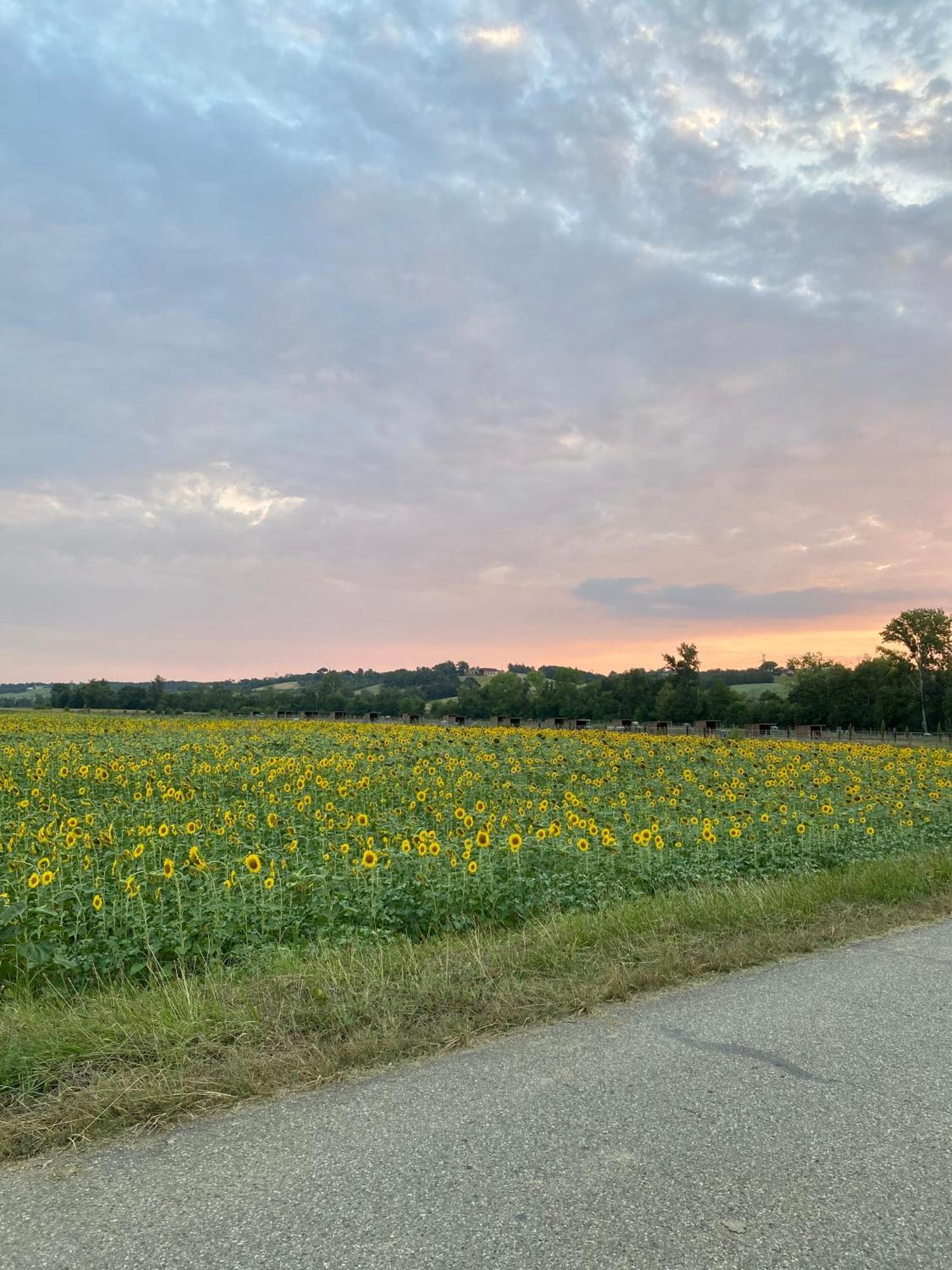 Dependance Privee A La Campagne Avec Spa Saint-Cirice Kültér fotó